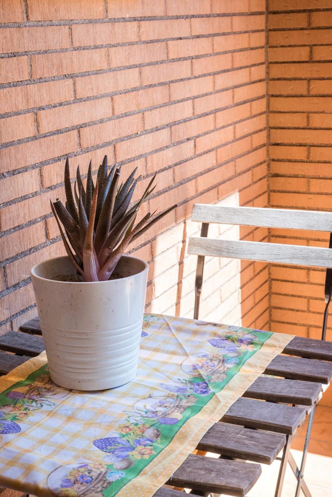 Travelershome Ciampino Suite Dış mekan fotoğraf